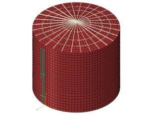 Storange Tank Analysis Model